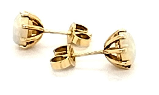 Stunning Opal Stud Earrings