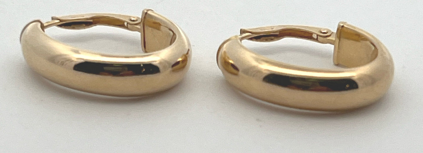 Precious Metal (No Stones) Earring