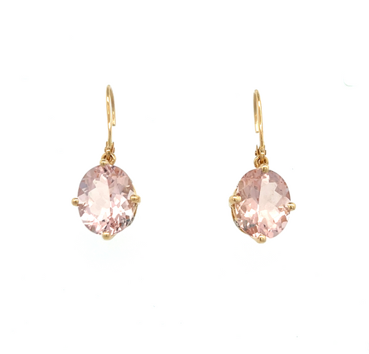 Colored Stone Earring
