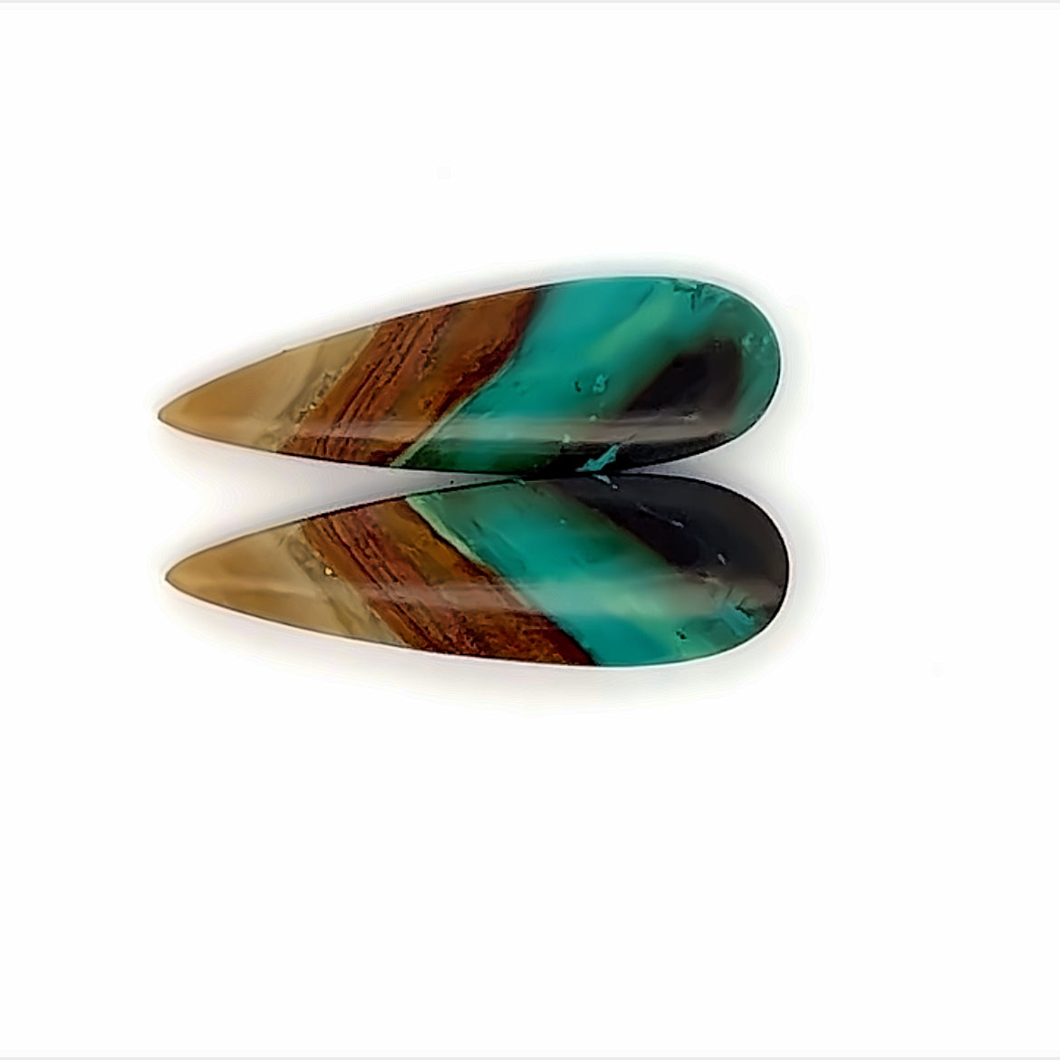 Opalized Wood Gemstone