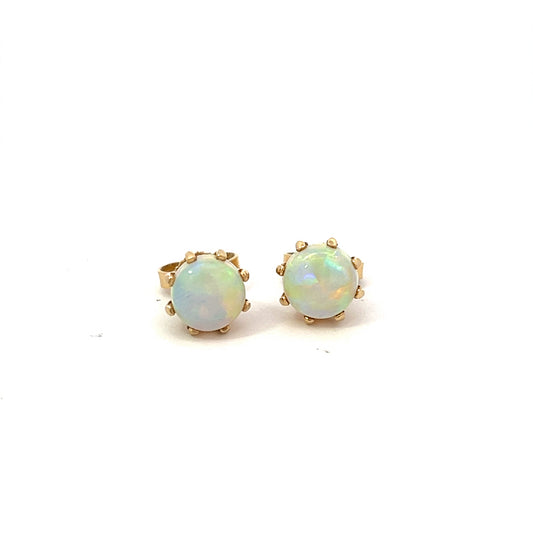 Stunning Opal Stud  Earrings