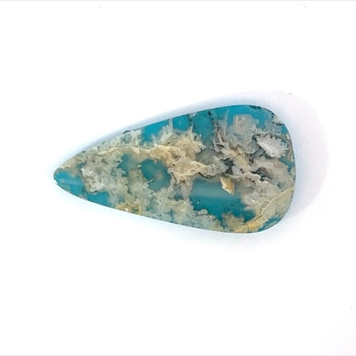 Plummed  Agate with reconsituted Turquoise backing  (Coral Sea Agate) Gemstone