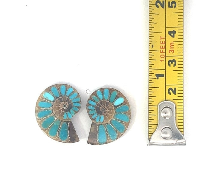 Ammonite With Turquoise Inlays Gemstones