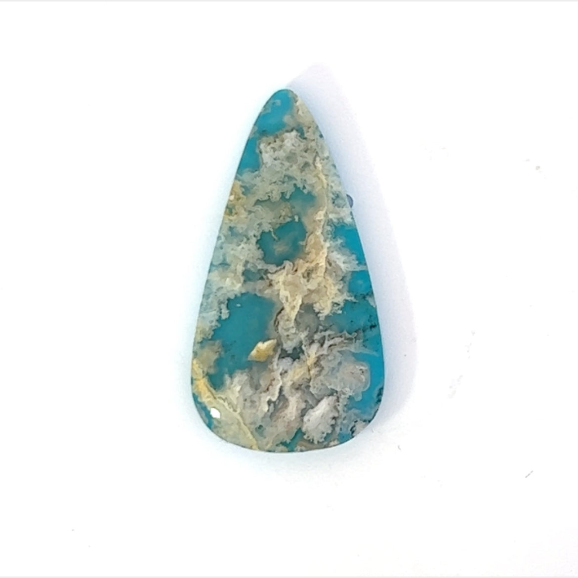 Plummed  Agate with reconsituted Turquoise backing  (Coral Sea Agate) Gemstone