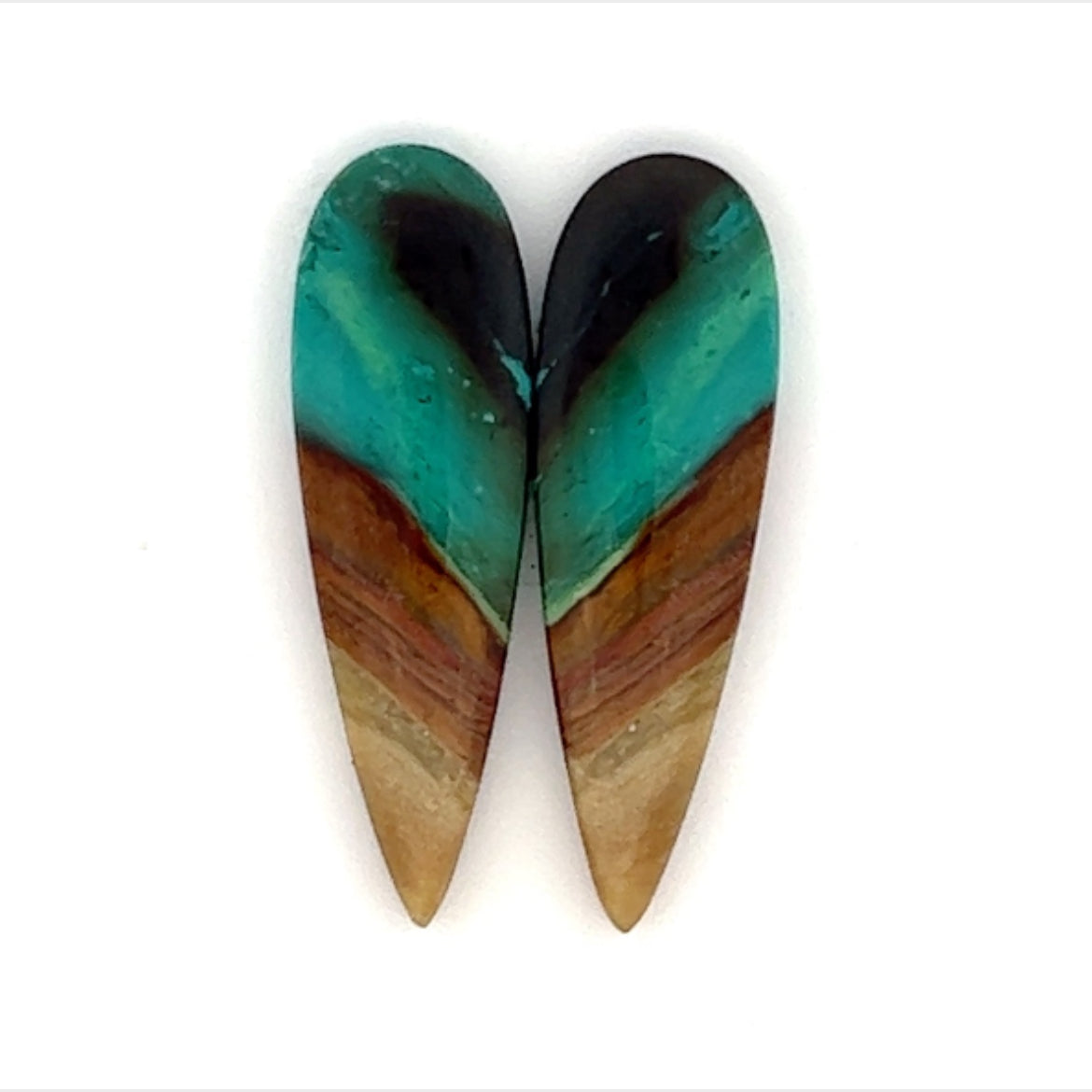 Opalized Wood Gemstone