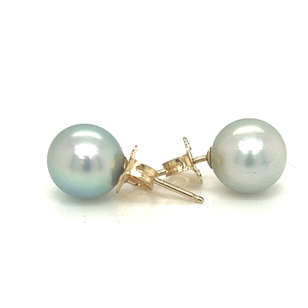 Light Silver Pearl Stud Earrings