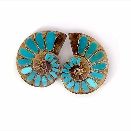 Ammonite With Turquoise Inlays Gemstones