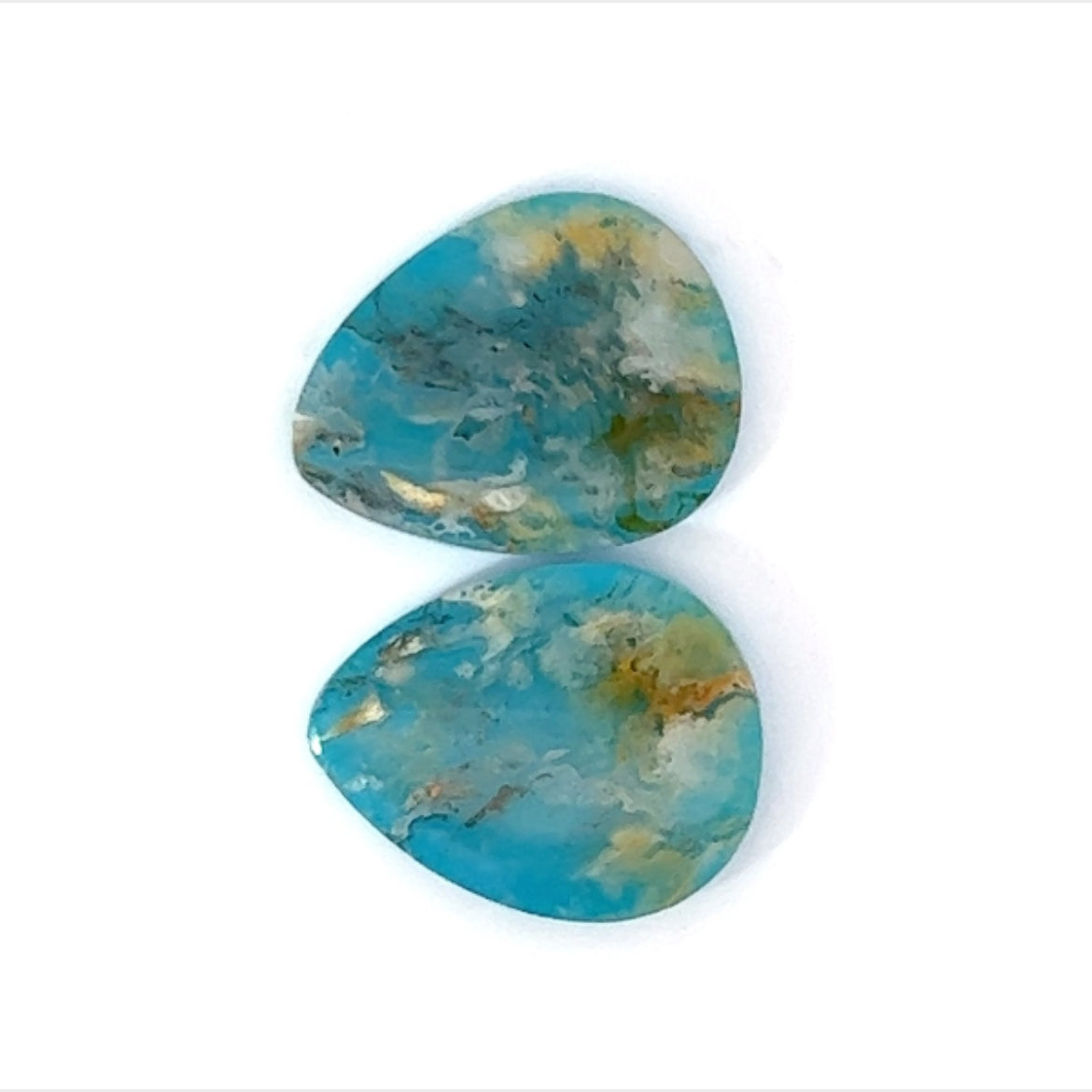 Plummed  Agate with reconsituted Turquoise backing  (Coral Sea Agate) Gemstone