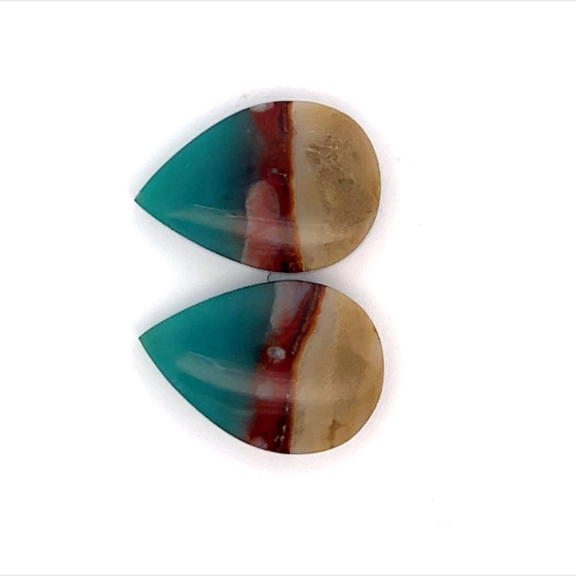 Opalized Wood Gemstones