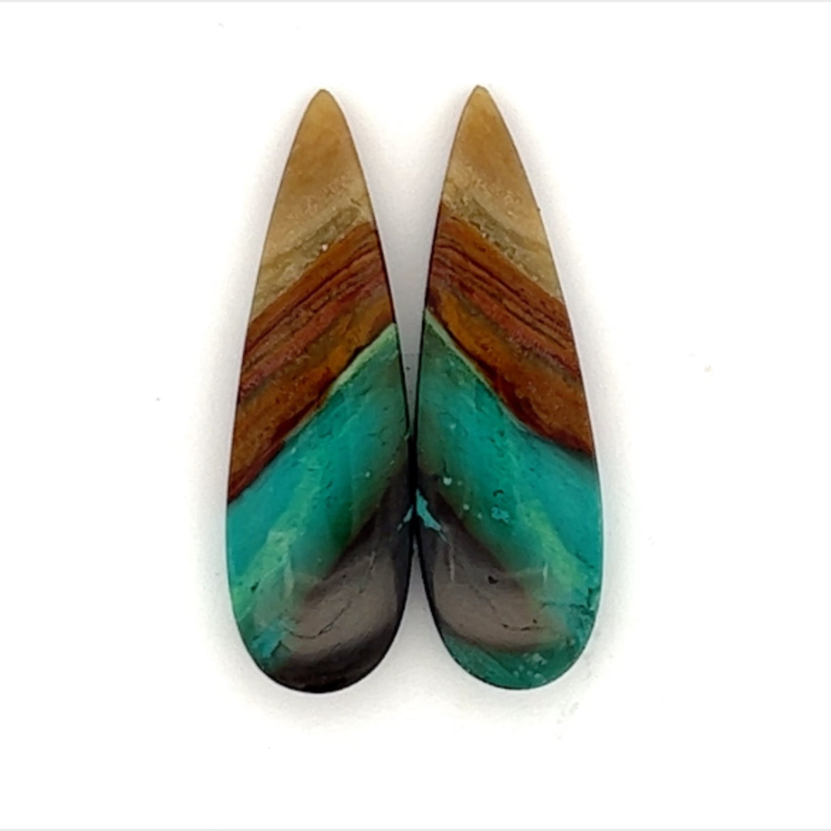 Opalized Wood Gemstone