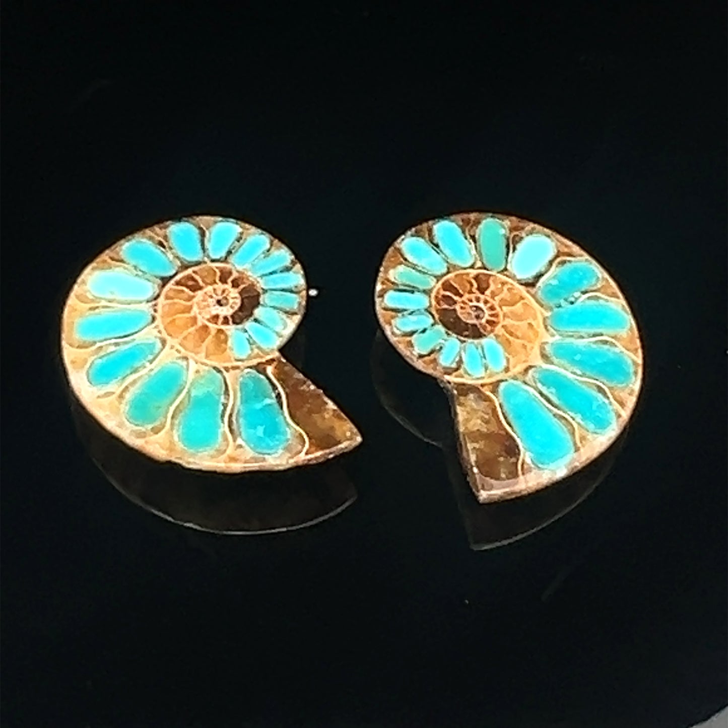 Ammonite With Turquoise Inlays Gemstones