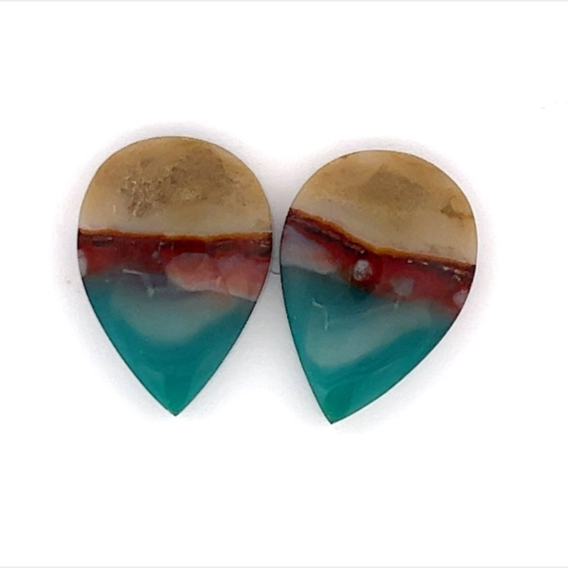 Opalized Wood Gemstones