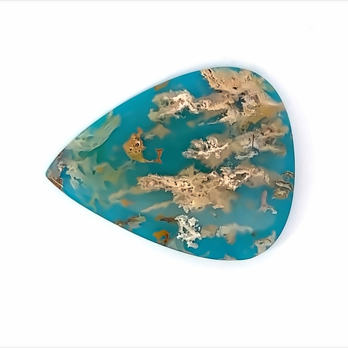 Plummed  Agate with reconsituted Turquoise backing  (Coral Sea Agate)  Gemstone