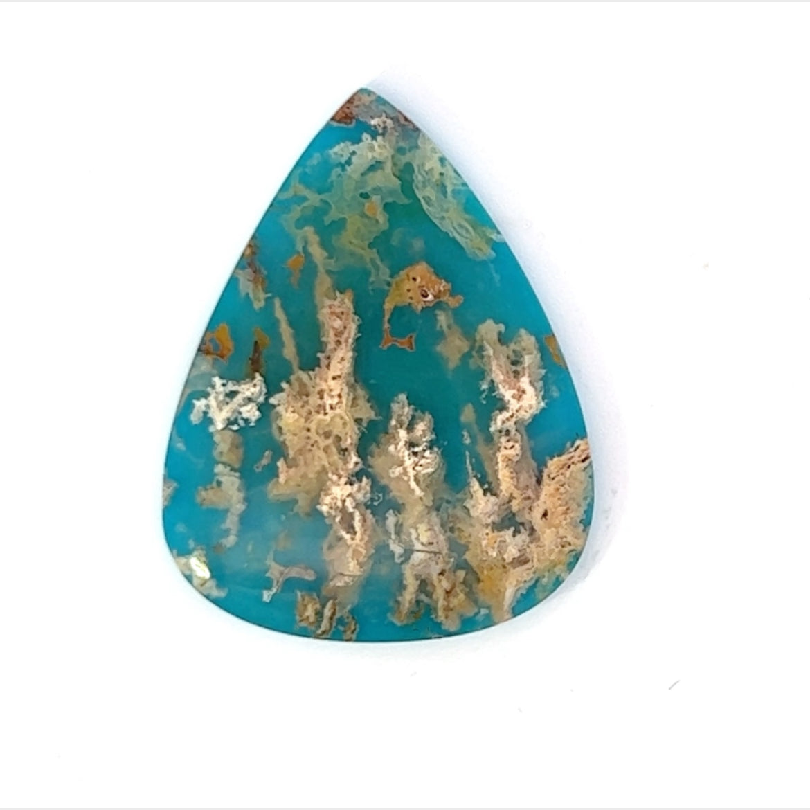 Plummed  Agate with reconsituted Turquoise backing  (Coral Sea Agate)  Gemstone