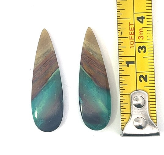 Opalized Wood Gemstone